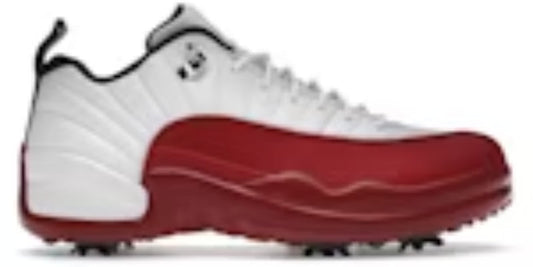 Tennis Takkies 11 Retro Low Year of the Snake Shoes