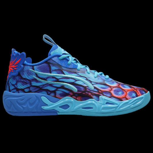 Youth Sneakers and Top Rated Men's Casual Shoes
