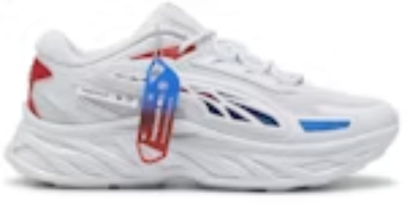 Men's Training Takkies P Exotek Nitro BMW Motorsport Silver Mist Pop Red Cool Cobalt Sneakers Shoes