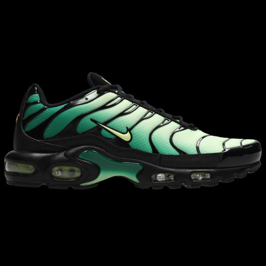 Youth Sneakers and Top Rated Men's Casual Shoes