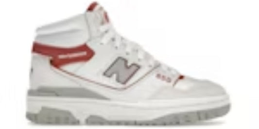 Men's Takkies N 650R Angora Pack Astro Dust Sneakers Shoes