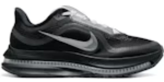 Mens Air Z Pegasus Premium SP Black Metallic Silver Takkies Online Shopping Shoes Sneakers