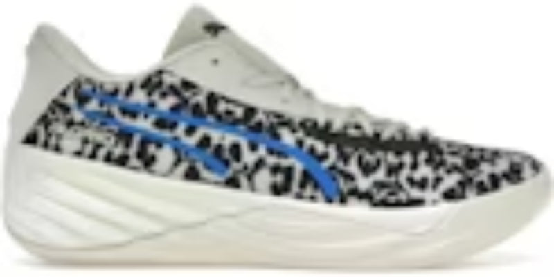 Men's Walking Takkies P All-Pro Nitro Clydes Closet Sneakers Shoes