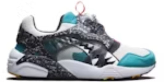 Men's Takkies P Disc Blaze BAIT Warthog Sneakers Shoes